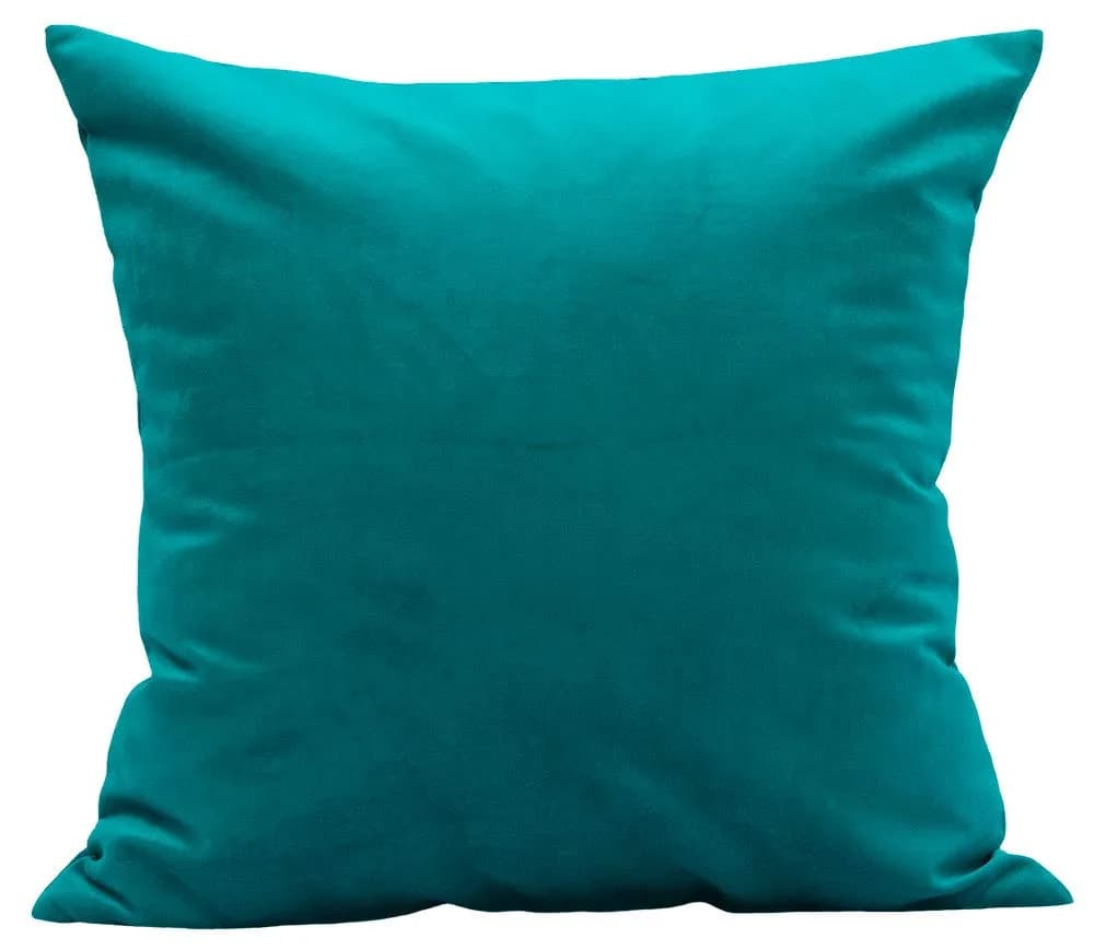 TangDepot Super Soft Velvet Throw Pillow Cover 20x20 | Luxuriously Plush & Elegant (70-120 chars)