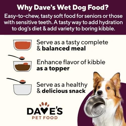 Dave's Pet Food Hip and Joint Support Dog Food, 13.2 oz, 12pk | Supports Mobility & Comfort thumbnail 9