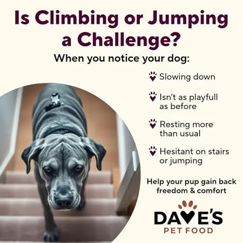 Dave's Pet Food Hip and Joint Support Dog Food, 13.2 oz, 12pk | Supports Mobility & Comfort thumbnail 3