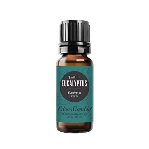 Edens Garden Eucalyptus-Smithii Essential Oil 10 ml | Mild, Fresh, Grounding Aroma for Diffusion & Skin thumbnail 1
