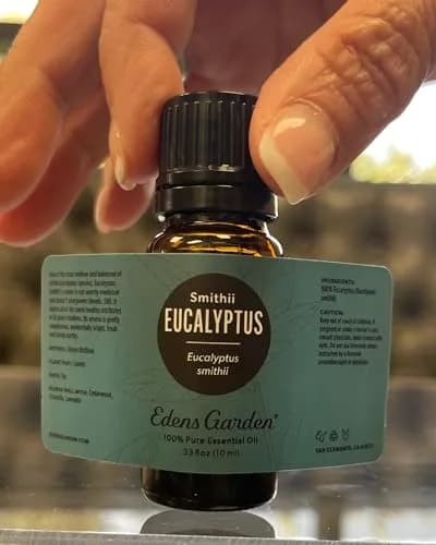 Edens Garden Eucalyptus-Smithii Essential Oil 10 ml | Mild, Fresh, Grounding Aroma for Diffusion & Skin thumbnail 9