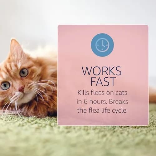 Catego Flea and Tick Prevention for Cats - Over 1.5 lbs, 6 Month Supply | Fast-Acting Flea & Tick Control thumbnail 2