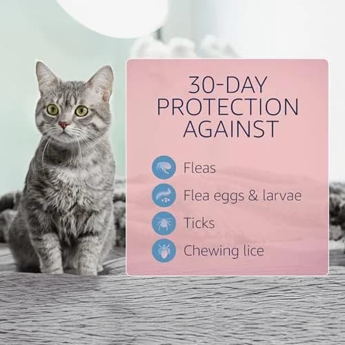 Catego Flea and Tick Prevention for Cats - Over 1.5 lbs, 6 Month Supply | Fast-Acting Flea & Tick Control thumbnail 3