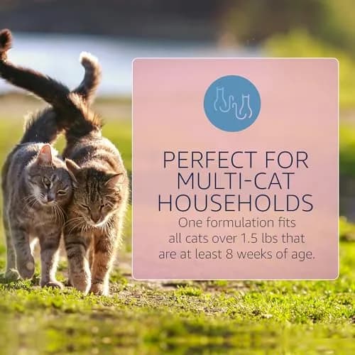 Catego Flea and Tick Prevention for Cats - Over 1.5 lbs, 6 Month Supply | Fast-Acting Flea & Tick Control thumbnail 4