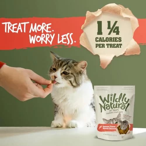 Wildly Natural Salmon Flavor Crunchy Cat Treats | Wholesome, Low-Calorie Snack for Indoor Cats thumbnail 4