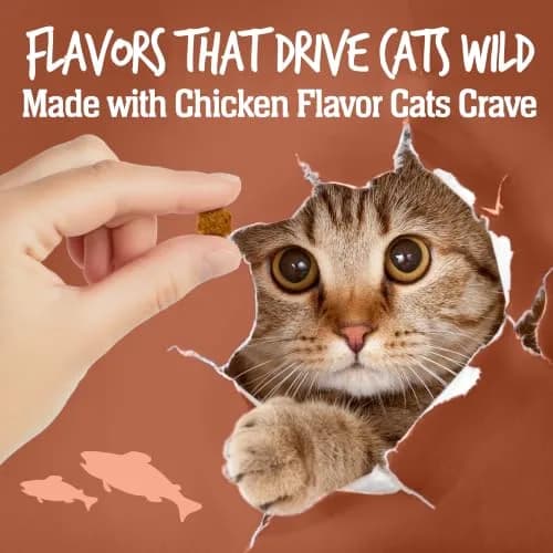 Wildly Natural Salmon Flavor Crunchy Cat Treats | Wholesome, Low-Calorie Snack for Indoor Cats thumbnail 5