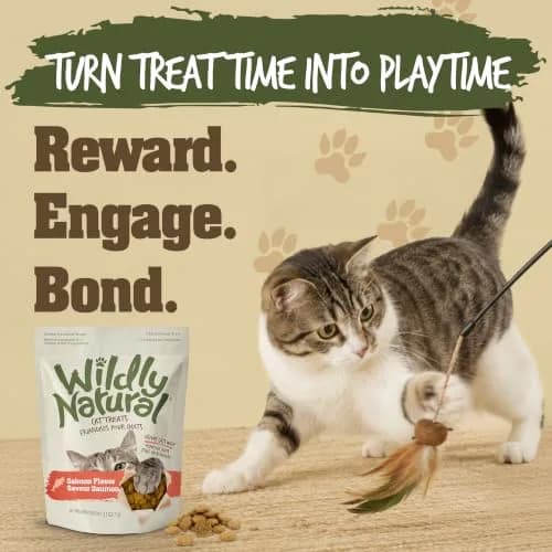 Wildly Natural Salmon Flavor Crunchy Cat Treats | Wholesome, Low-Calorie Snack for Indoor Cats thumbnail 6
