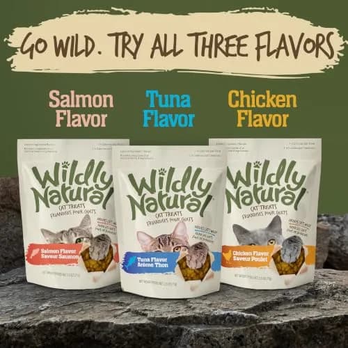 Wildly Natural Salmon Flavor Crunchy Cat Treats | Wholesome, Low-Calorie Snack for Indoor Cats thumbnail 7