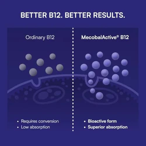 Purity Products Blueberry Probiotic B12 Energy Melt 30 Tablets | Supports Energy & Digestive Health thumbnail 6