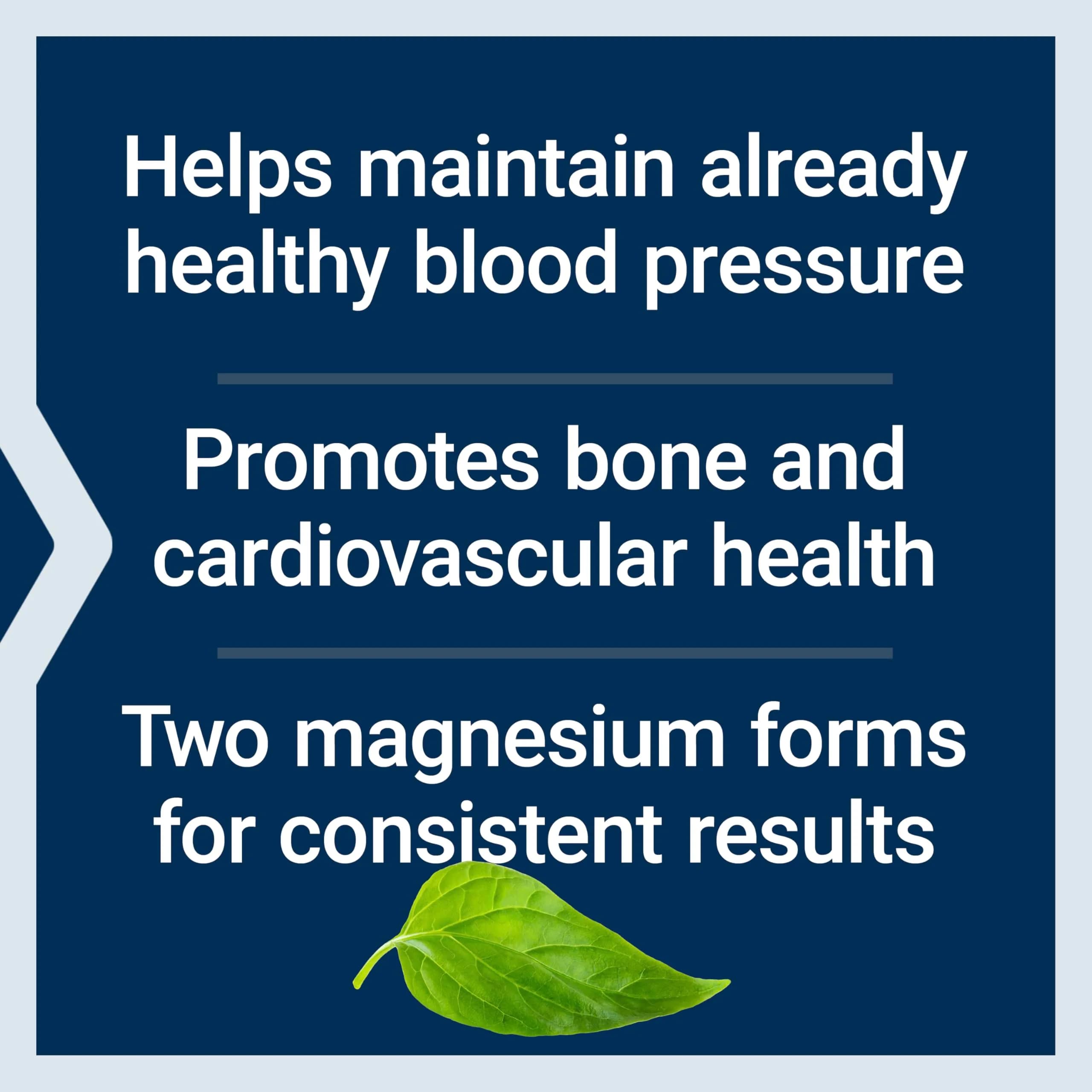 Life Extension Extend-Release Magnesium Capsules | 250mg (60 Count, 1-2 Month Supply) - view 3