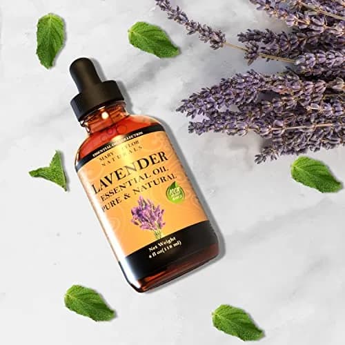 Mary Tylor Naturals Lavender Essential Oil (4 oz) Pure Therapeutic Grade for Aromatherapy, Diffuser, DIY thumbnail 2