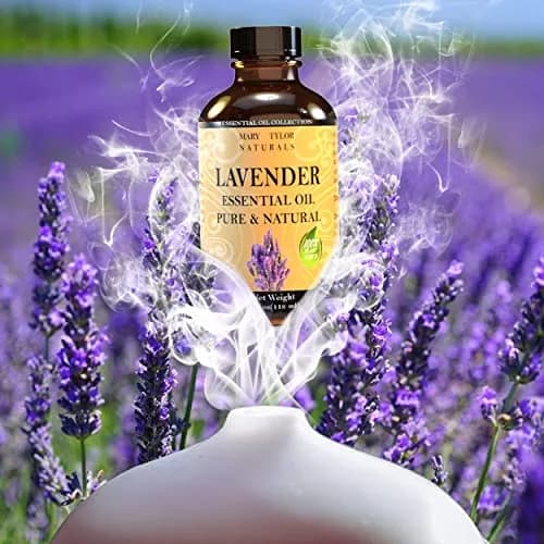 Mary Tylor Naturals Lavender Essential Oil (4 oz) Pure Therapeutic Grade for Aromatherapy, Diffuser, DIY thumbnail 3