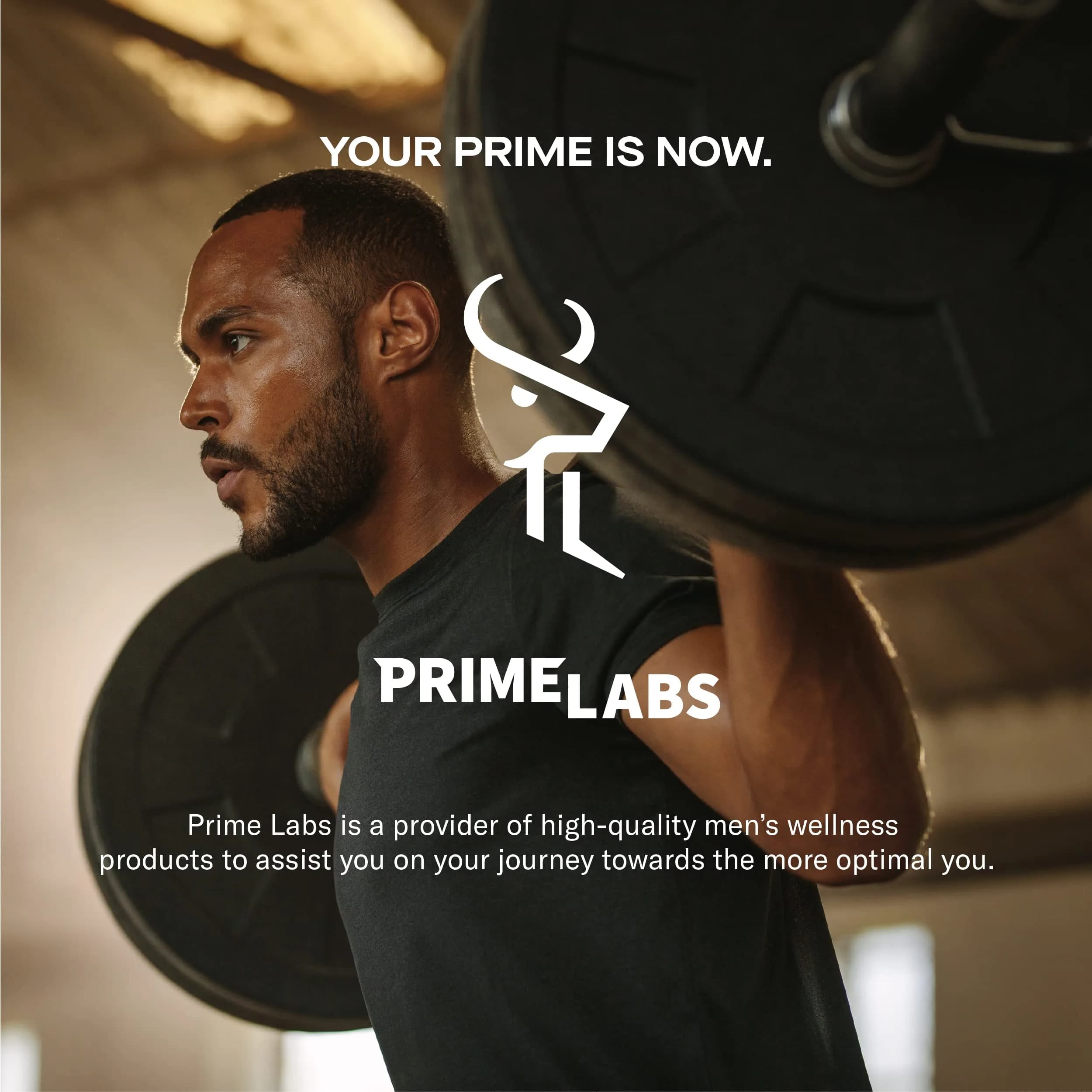 Prime Labs Testosterone Booster for Men, Supports Strength & Stamina | 60 Caplets - view 8