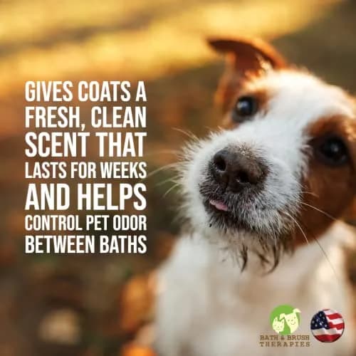 Showseason Bath & Brush Therapies® Cupcake Pet Cologne 4.5 oz | Long-Lasting Odor Control, Paraben-Free, Made in USA thumbnail 3