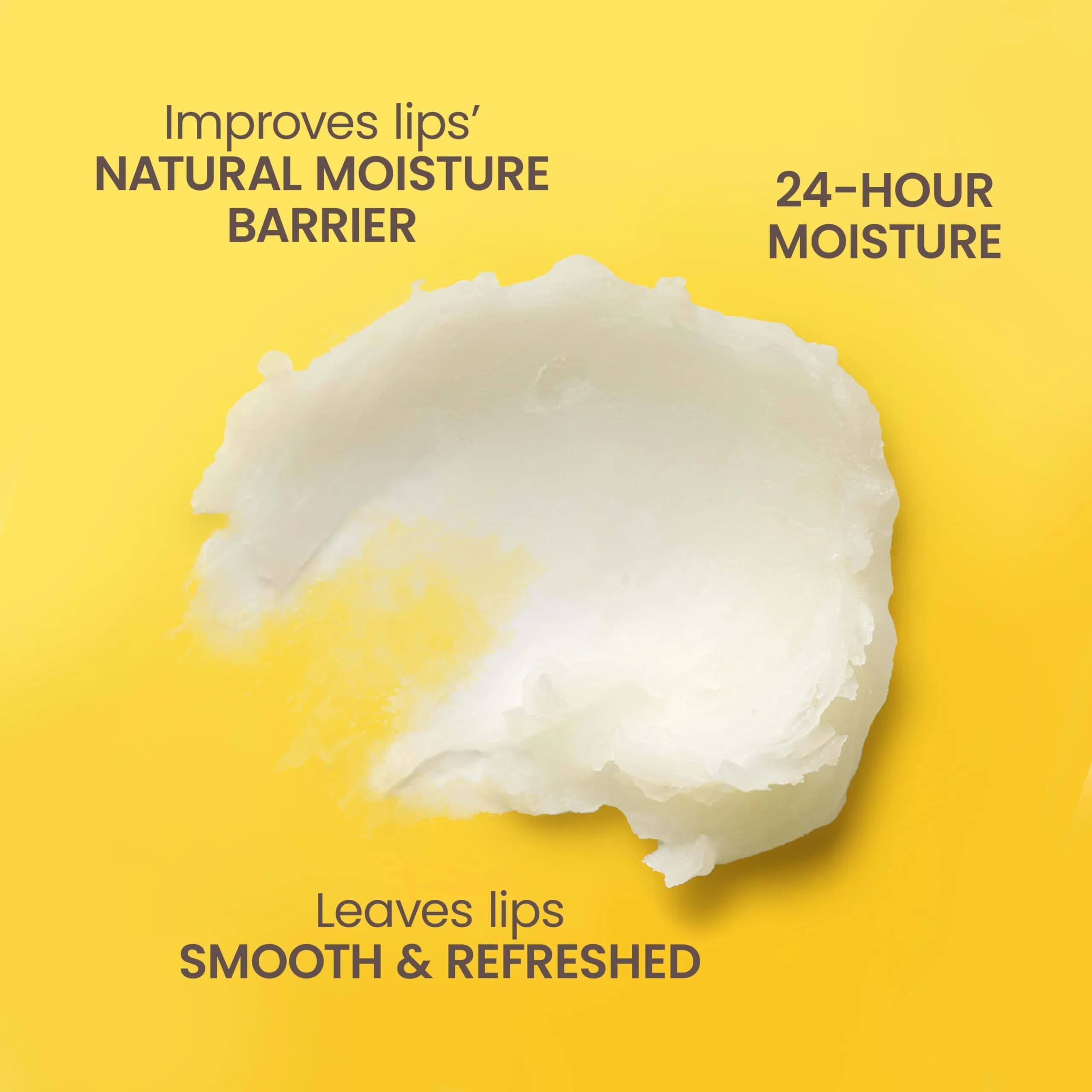 Burt's Bees Best Of Burt's Lip Balm Collection - 4 Pack of Natural Moisturizing Lip Balm - view 5