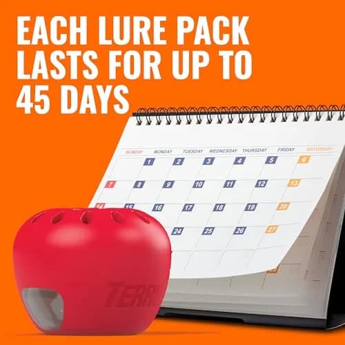 Terro Fruit Fly Trap 4-Pack | 180 Days Lure Supply, Food-Based thumbnail 9