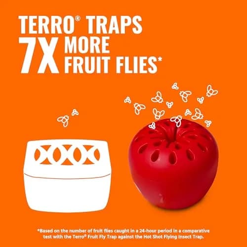 Terro Fruit Fly Trap 4-Pack | 180 Days Lure Supply, Food-Based thumbnail 2