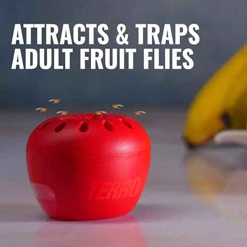 Terro Fruit Fly Trap 4-Pack | 180 Days Lure Supply, Food-Based thumbnail 3