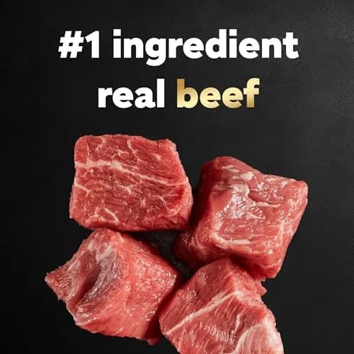 Cesar Small Breed Dry Dog Food Filet Mignon & Spring Vegetables 2.7 lb | Gourmet Nutrition for Small Dogs thumbnail 4