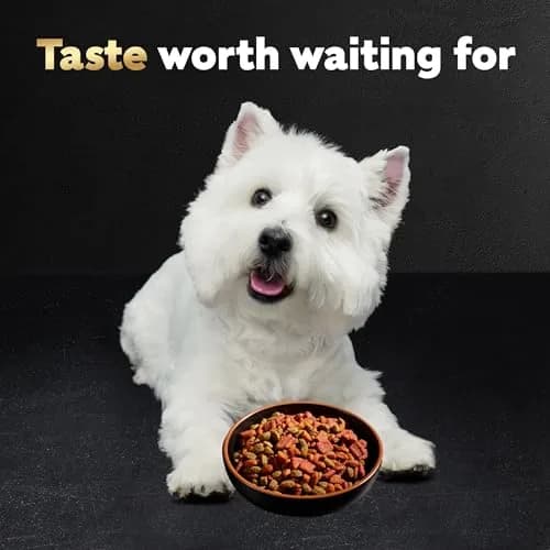Cesar Small Breed Dry Dog Food Filet Mignon & Spring Vegetables 2.7 lb | Gourmet Nutrition for Small Dogs thumbnail 8