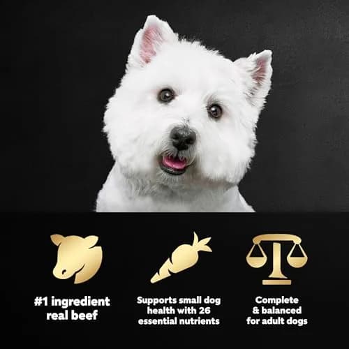 Cesar Small Breed Dry Dog Food Filet Mignon & Spring Vegetables 2.7 lb | Gourmet Nutrition for Small Dogs thumbnail 2