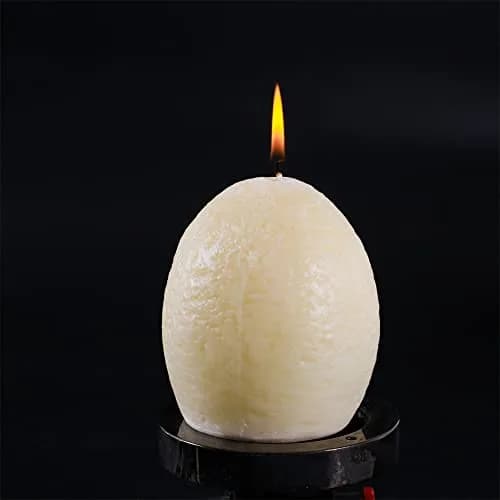 YAZAN-MOLANDI T-Rex Dinosaur Hatching Eggs Candle | Novelty Dinosaur Egg Candle for Kids & Collectors thumbnail 2