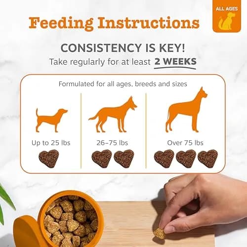 Zesty Paws Turmeric Curcumin Dog Chews 90 Count | Hip & Joint Support with Coconut Oil & BioPerine thumbnail 4
