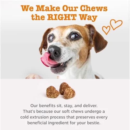 Zesty Paws Turmeric Curcumin Dog Chews 90 Count | Hip & Joint Support with Coconut Oil & BioPerine thumbnail 6