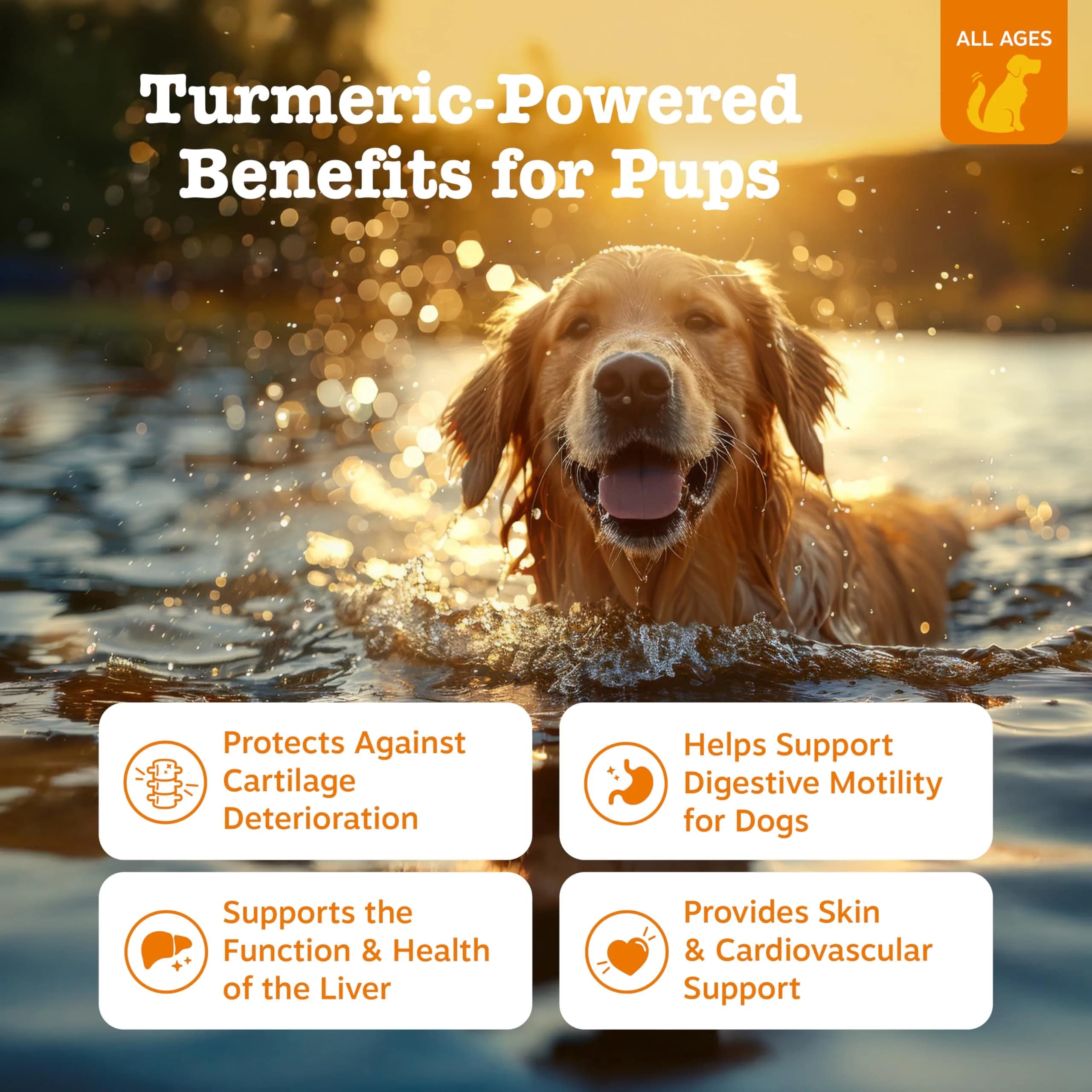 Zesty Paws Turmeric Curcumin Dog Chews 90 Count | Hip & Joint Support with Coconut Oil & BioPerine - view 2