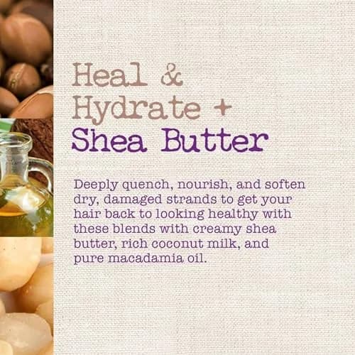 Maui Moisture Heal & Hydrate + Shea Butter Shampoo 385ml (13 fl oz) | Vegan Formula for Curly Hair thumbnail 2