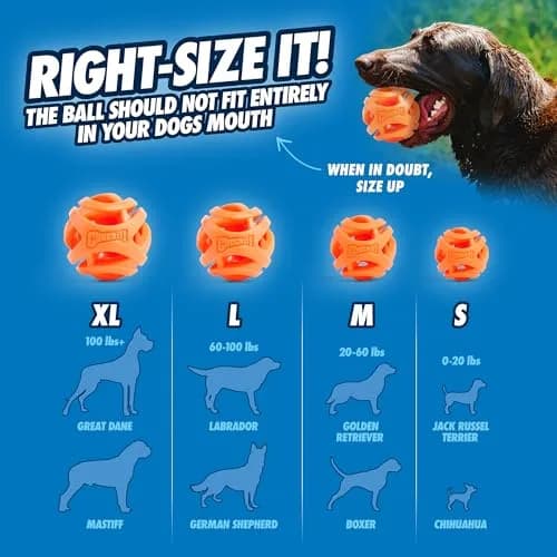 Chuckit! Air Fetch Dog Ball, Large 3in | Breathable, Durable & Compatible with Launchers thumbnail 4
