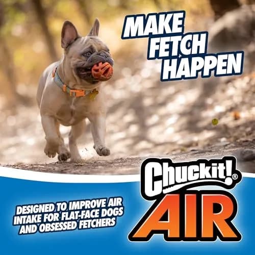 Chuckit! Air Fetch Dog Ball, Large 3in | Breathable, Durable & Compatible with Launchers thumbnail 6
