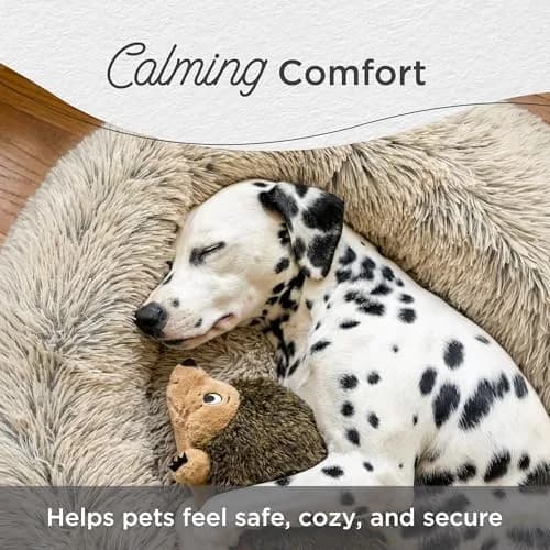 Best Friends by Sheri Original Calming Donut Dog Bed, Frost Gray, Small 23" | Orthopedic Support & Water-Resistant Base thumbnail 4