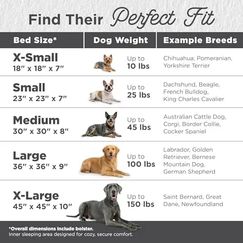 Best Friends by Sheri Original Calming Donut Dog Bed, Frost Gray, Small 23" | Orthopedic Support & Water-Resistant Base thumbnail 2