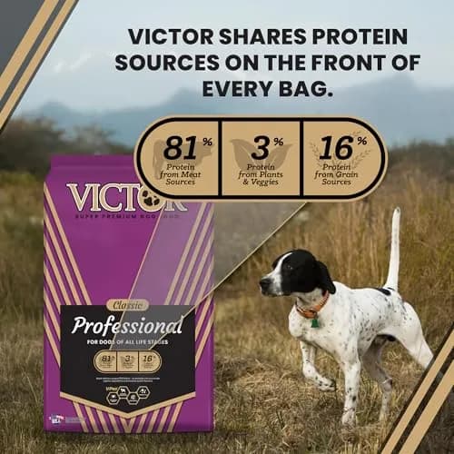 VICTOR Professional Dry Dog Food - Gluten-Free Active Dog Kibble, 5 lb | High Energy, Multi-Protein Nutrition thumbnail 4