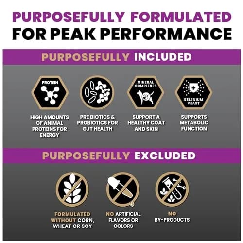 VICTOR Professional Dry Dog Food - Gluten-Free Active Dog Kibble, 5 lb | High Energy, Multi-Protein Nutrition thumbnail 5