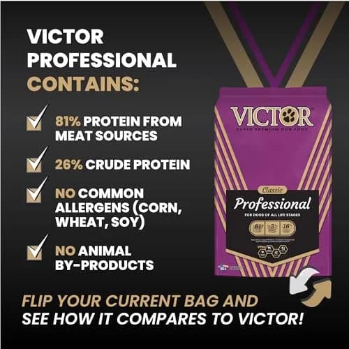 VICTOR Professional Dry Dog Food - Gluten-Free Active Dog Kibble, 5 lb | High Energy, Multi-Protein Nutrition thumbnail 6