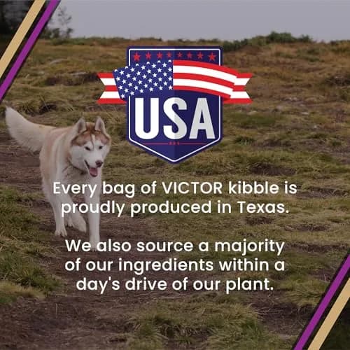 VICTOR Professional Dry Dog Food - Gluten-Free Active Dog Kibble, 5 lb | High Energy, Multi-Protein Nutrition thumbnail 9