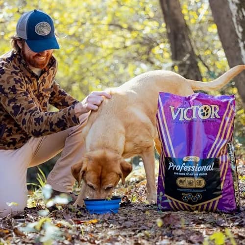 VICTOR Professional Dry Dog Food - Gluten-Free Active Dog Kibble, 5 lb | High Energy, Multi-Protein Nutrition thumbnail 2