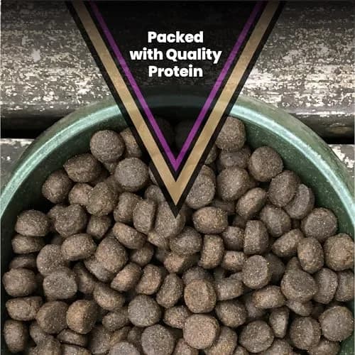 VICTOR Professional Dry Dog Food - Gluten-Free Active Dog Kibble, 5 lb | High Energy, Multi-Protein Nutrition thumbnail 3