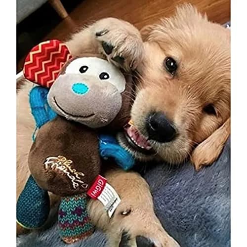Gigwi Dog Toy Plush Friends Puffy Animal Monkey | Soft, Durable & Easy to Hold (24cm) thumbnail 2