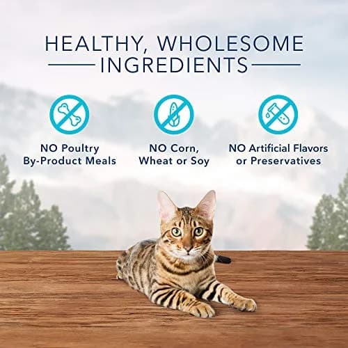Blue Buffalo Wilderness Tasty Trout Crunchy Cat Treats 2 oz (Pack of 12) | High Protein Grain-Free Cat Snacks thumbnail 4