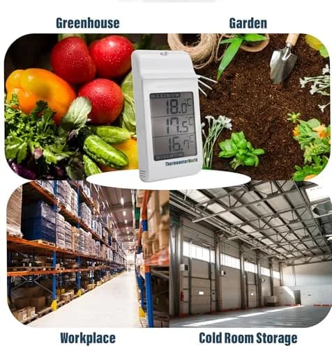 Thermometer World Digital Max Min Greenhouse Thermometer 180mm (7.1in) | Monitors Max & Min Temps for Gardens & Greenhouses thumbnail 7