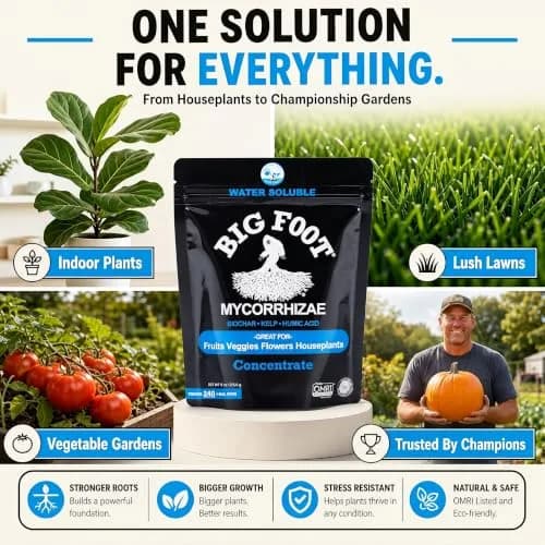 Big Foot Water Soluble Mycorrhizal Inoculant - Mycorrhizae Powder 4 oz | Organic Plant Growth Booster thumbnail 6