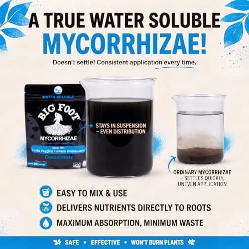 Big Foot Water Soluble Mycorrhizal Inoculant - Mycorrhizae Powder 4 oz | Organic Plant Growth Booster thumbnail 3