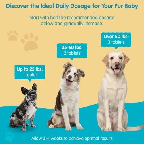 Pawsitive Omega 3-6-9 for Dogs | Skin & Coat Support with EPA & DHA Fish Oil, Smoked Salmon & Liver Flavor, 120 Chewable Tablets thumbnail 6