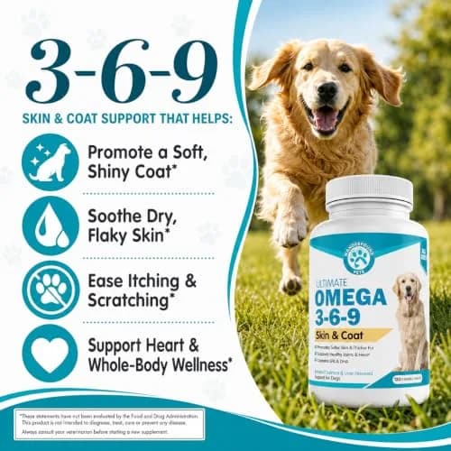 Pawsitive Omega 3-6-9 for Dogs | Skin & Coat Support with EPA & DHA Fish Oil, Smoked Salmon & Liver Flavor, 120 Chewable Tablets thumbnail 7