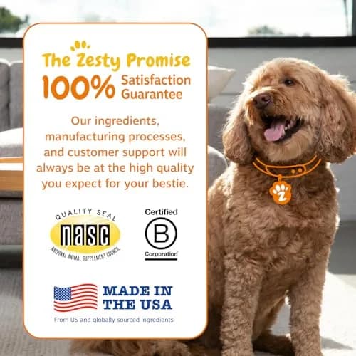 Zesty Paws Probiotics for Dogs - Gut Health Soft Chews, Pumpkin, 90 Ct | Supports Digestive & Immune Function thumbnail 7