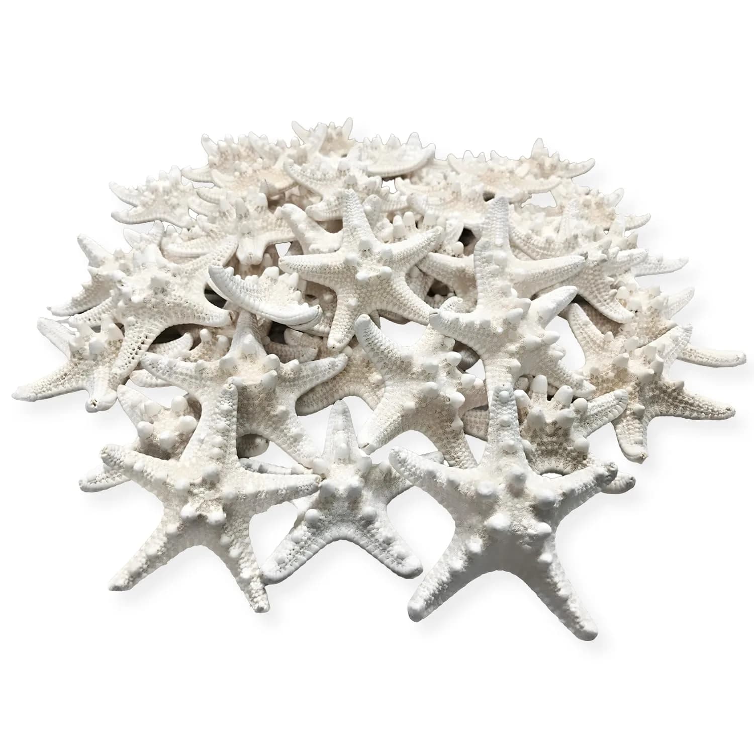 Nautical Crush Trading Real White Knobby Starfish 3"-4" | Coastal Nautical Decor & Beach Wedding Accent