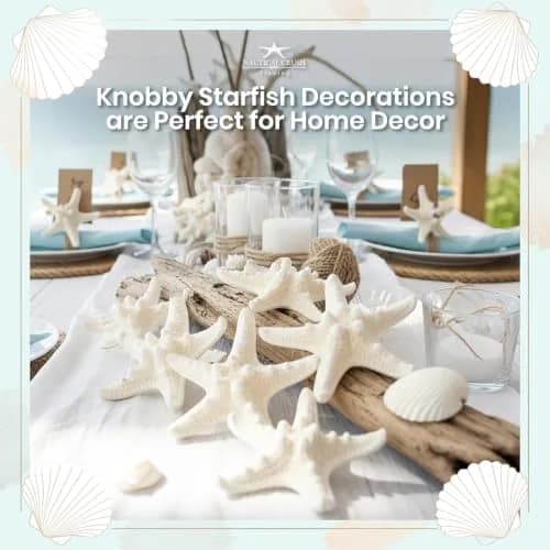 Nautical Crush Trading Real White Knobby Starfish 3"-4" | Coastal Nautical Decor & Beach Wedding Accent thumbnail 5